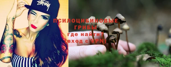 гашиш Новодвинск