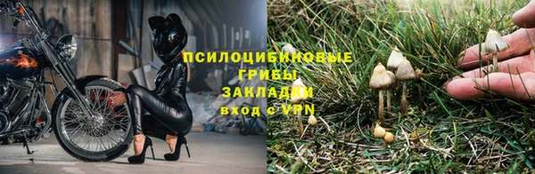 mix Новозыбков