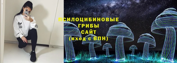гашиш Новодвинск