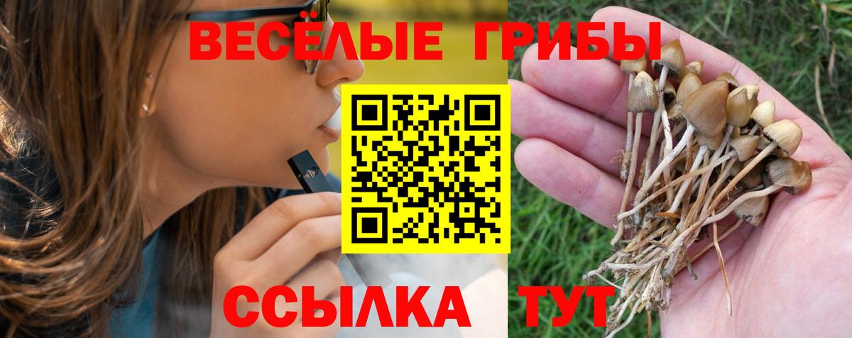 Ступино  Псилоцибиновые грибы Magic Shrooms  Вход с VPN 