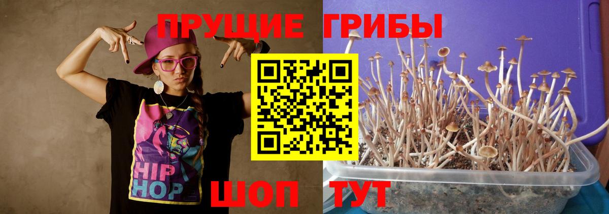 Галлюциногенные грибы MAGIC MUSHROOMS  Ступино  Галлюциногенные грибы MAGIC MUSHROOMS 