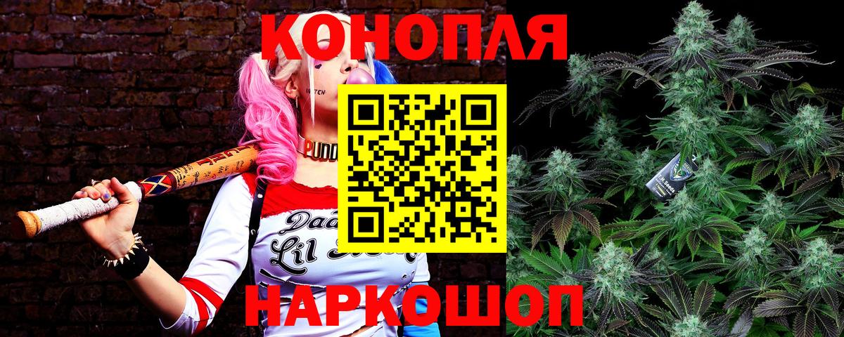 Канабис OG Kush Ступино